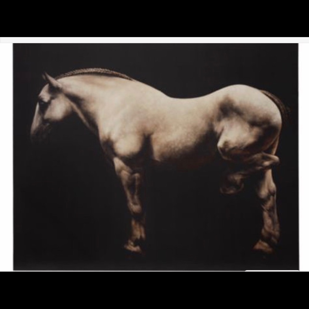 ISO A large canvas print from Z Gallerie.